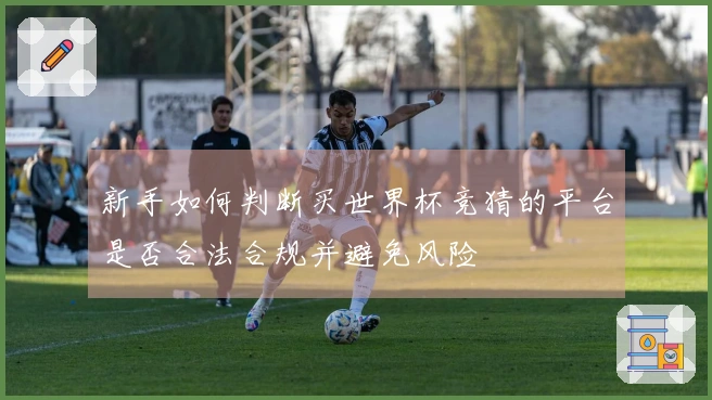 新手如何判断买世界杯竞猜的平台是否合法合规并避免风险
