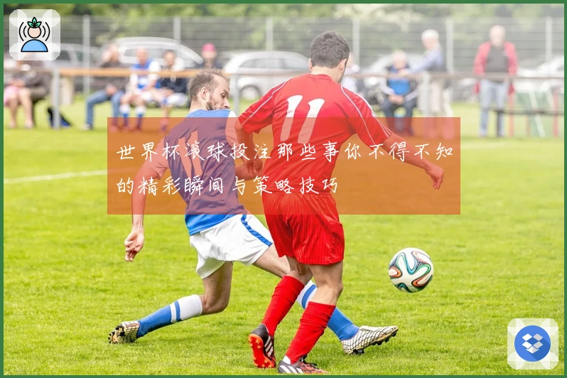 世界杯滚球投注那些事你不得不知的精彩瞬间与策略技巧