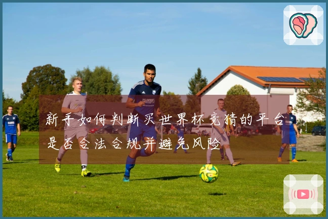 新手如何判断买世界杯竞猜的平台是否合法合规并避免风险